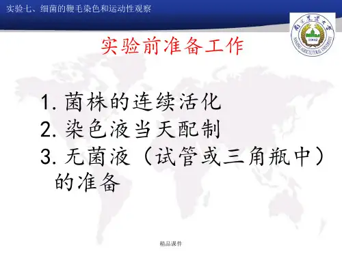 实验七 细菌鞭毛染色和运动性观察(半固体穿刺法)
