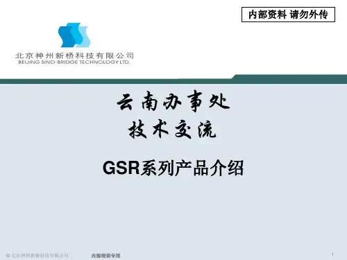 GSR系列产品介绍北京神州新桥科技有限公司培训PPT