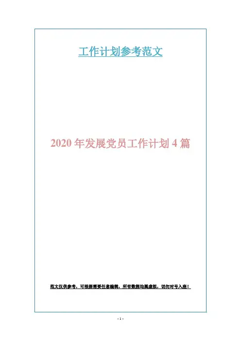2020年发展党员工作计划4篇
