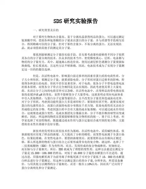 SDS研究实验报告