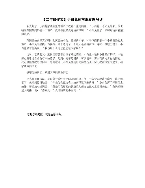 【二年级作文】小白兔运南瓜看图写话