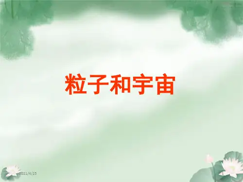《粒子和宇宙》PPT课件