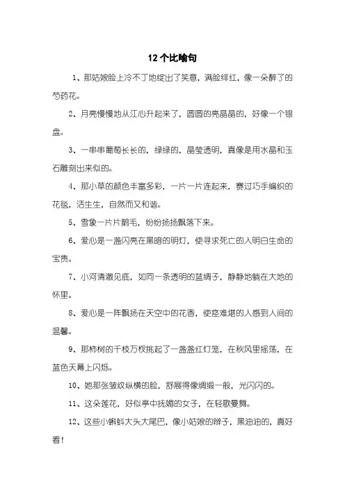 12个比喻句