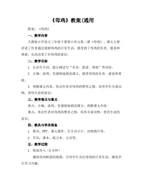 《母鸡》教案(通用