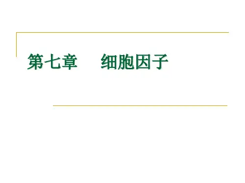细胞因子