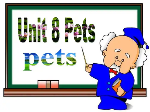 牛津译林版七下英语课件Unit8PetsWelcometotheunit共42张PP
