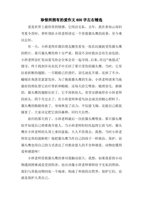 珍惜所拥有的爱作文600字左右精选