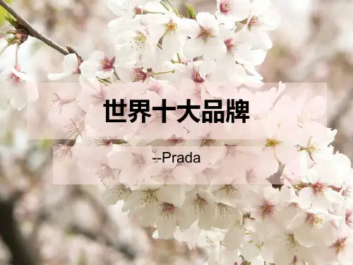 《Prada品牌介绍》PPT课件