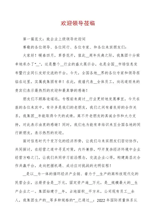 欢迎领导莅临