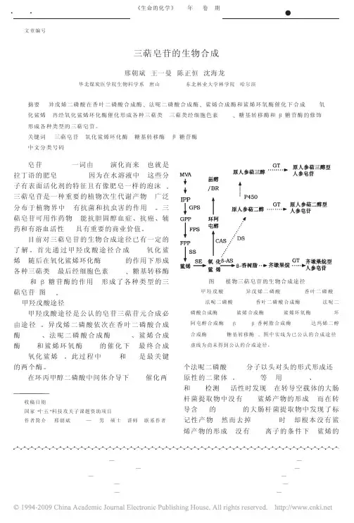 三萜皂苷的生物合成[1]