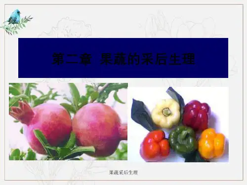 果蔬采后生理
