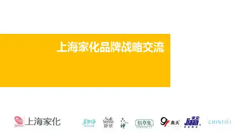 上海家化品牌战略分析
