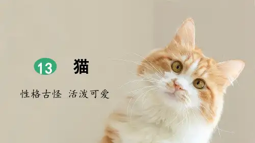 统编版四年级语文下册第13课《猫》精品课件