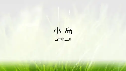 统编版五年级语文上册15小岛课件(共22张PPT)