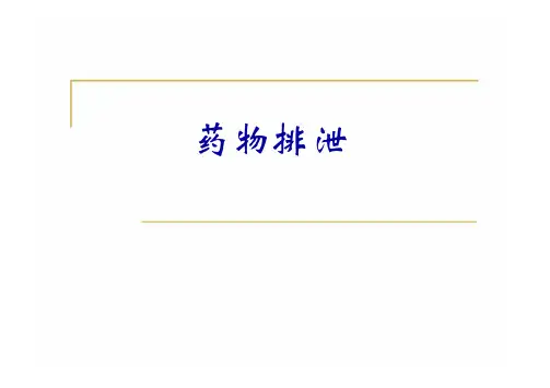 《生物药剂学》课件——药物排泄