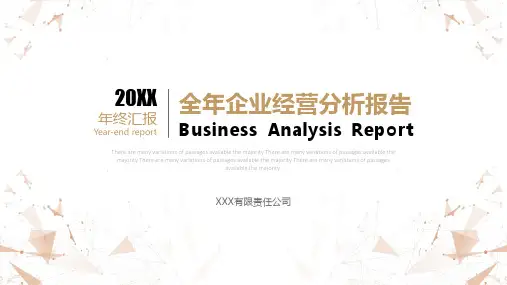 企业经营分析报告PPT