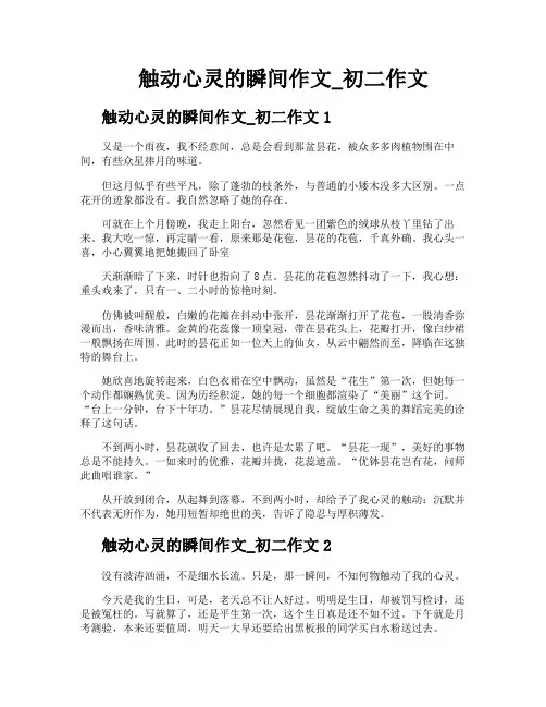 触动心灵的瞬间作文初二作文