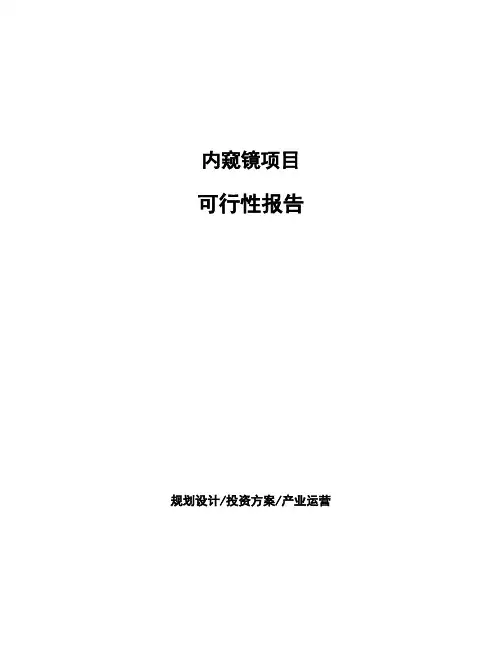 内窥镜项目可行性报告