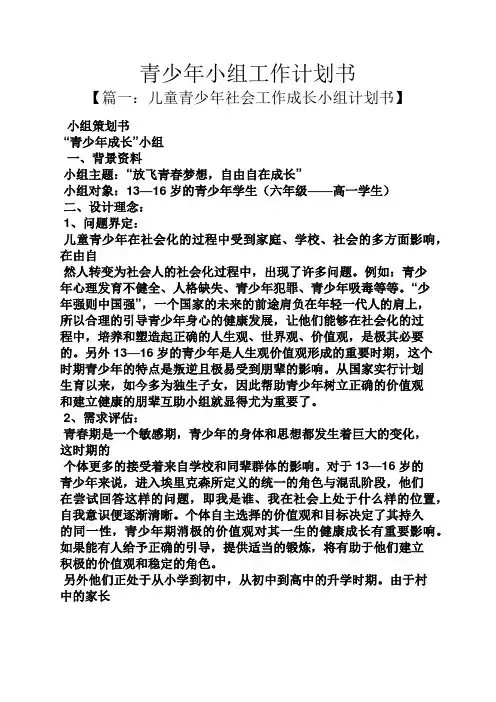 青少年小组工作计划书