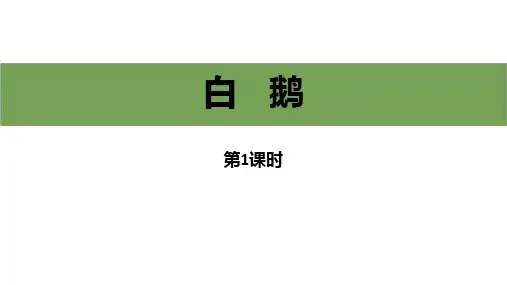 部编版四年级下册语文《白鹅》PPT教学电子课件