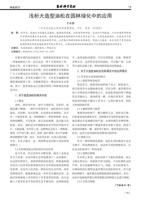 浅析大造型油松在园林绿化中的应用