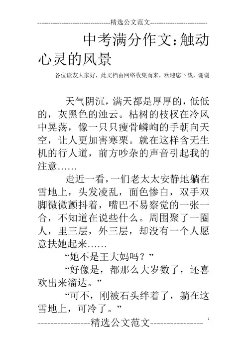 中考满分作文：触动心灵的风景