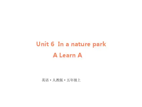PEP人教版五年级英语上册Unit 6 In a nature park A Let's learn课件