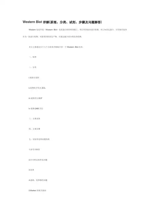 Western Blot详解(原理、分类、试剂、步骤及问题解答)