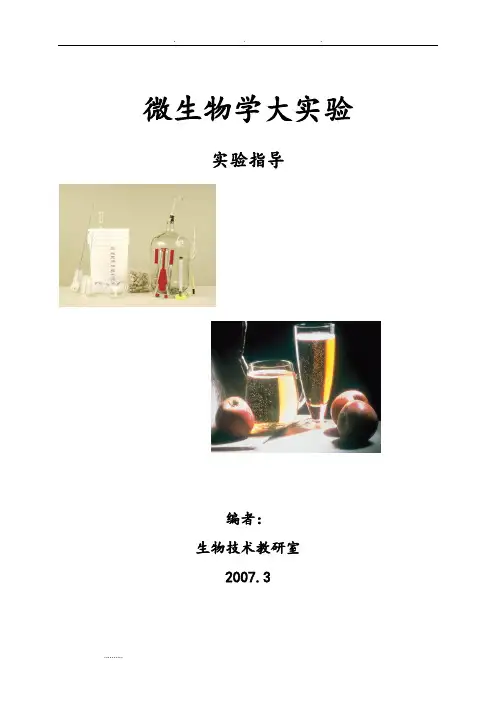 酵母菌的培养与分离