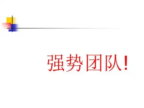 如何塑造强势团队(PPT30张)