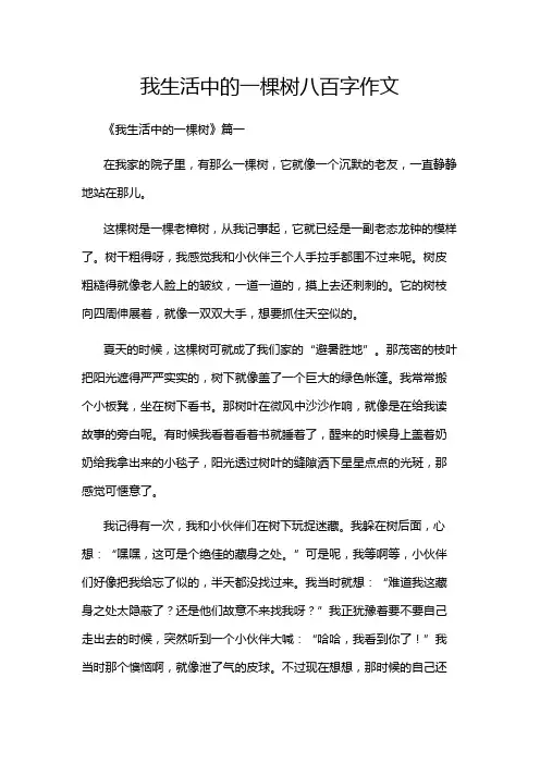 我生活中的一棵树八百字作文