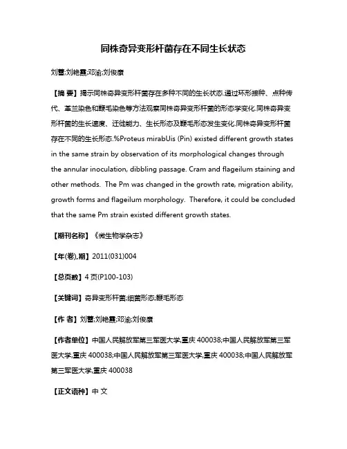 同株奇异变形杆菌存在不同生长状态
