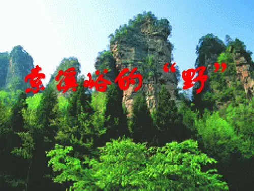 《索溪峪的“野”》六年级上册语文PPT课件
