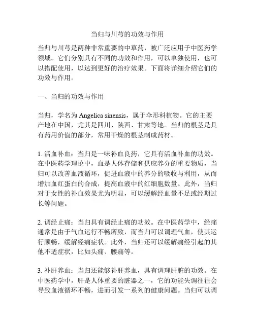 当归与川芎的功效与作用