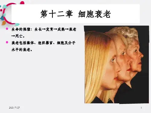 《细胞衰老》PPT课件_OK