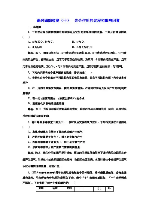 2019版高考生物新三维(通用版)一轮课时跟踪检测(十) 光合作用的过程和影响因素 Word版含解析
