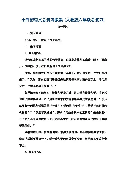 小升初语文总复习教案