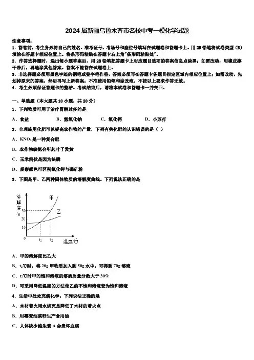 2024届新疆乌鲁木齐市名校中考一模化学试题含解析