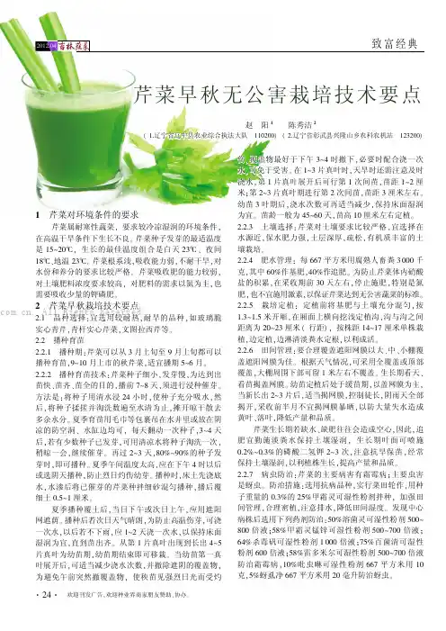 芹菜早秋无公害栽培技术要点