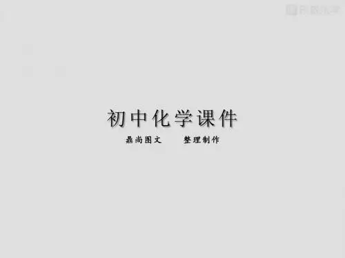 鲁教版九年级上册化学 《1.1奇妙的化学》课件.pptx