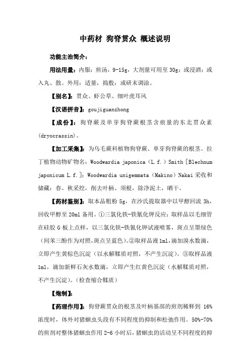 中药材 狗脊贯众 概述说明