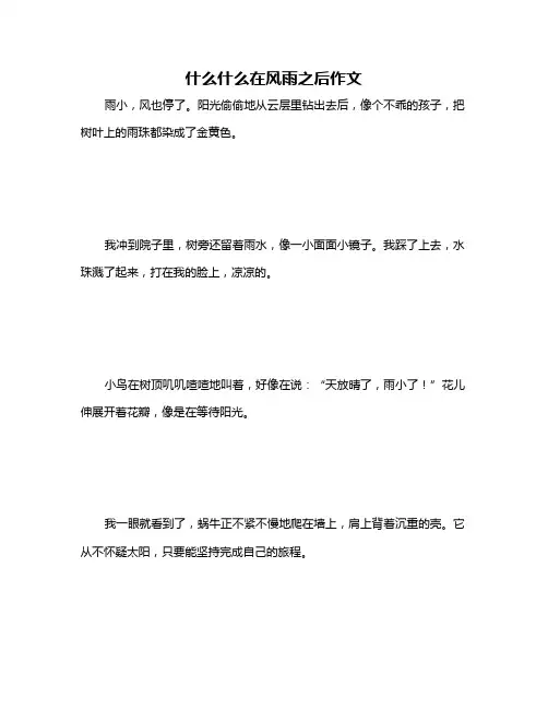 什么什么在风雨之后作文