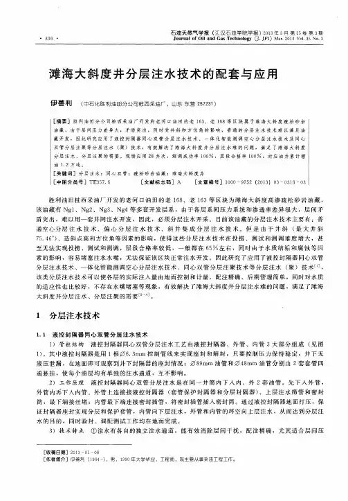 滩海大斜度井分层注水技术的配套与应用