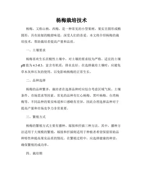 杨梅栽培技术