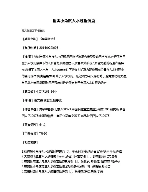 鱼雷小角度入水过程仿真