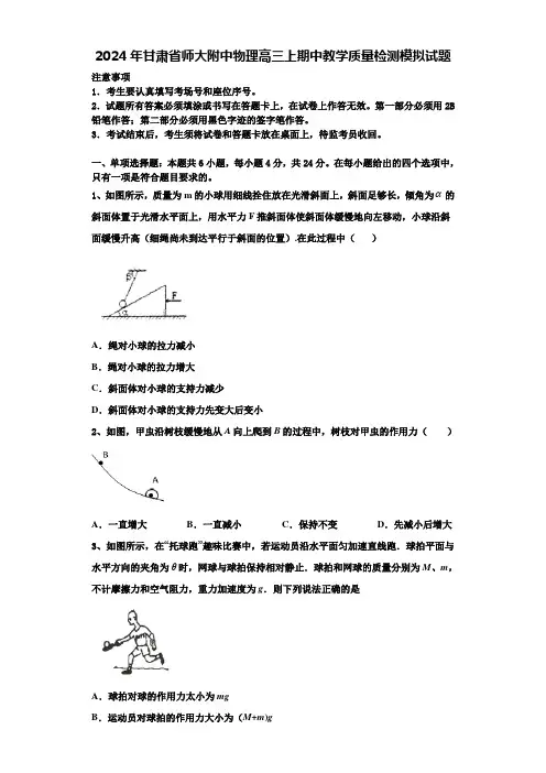 2024年甘肃省师大附中物理高三上期中教学质量检测模拟试题含解析