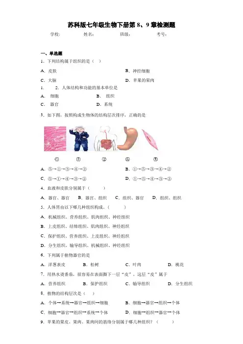 苏科版七年级生物下册第8、9章检测题