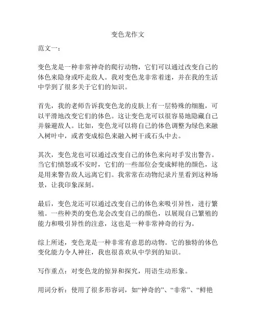 变色龙作文