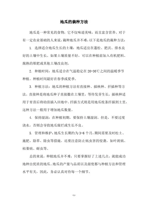 地瓜的栽种方法