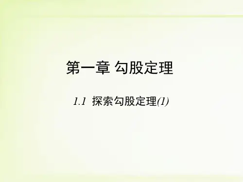 北师大版八年级数学上册全套教学课件